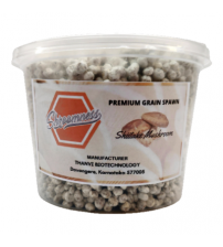 Thanvi Shroomness Shiitake Mushroom Spawn (Seeds)  200 grams